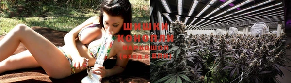 твердый Нефтекумск