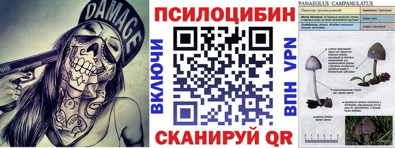 omg tor  Олонец  Галлюциногенные грибы мицелий 